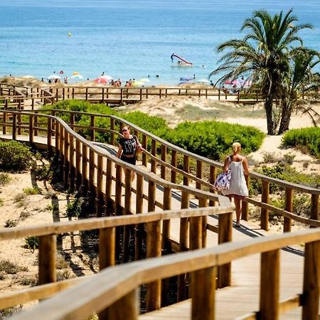 Villa Rustica Privada Con Gran Chalet Y Piscina Elche Exterior foto