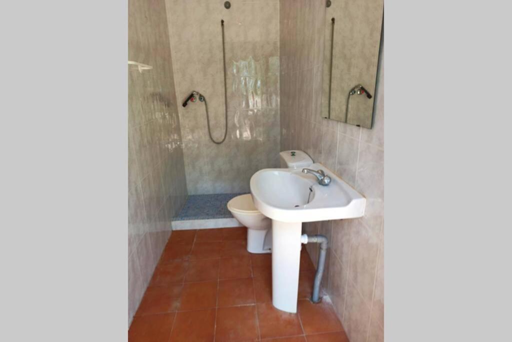 Villa Rustica Privada Con Gran Chalet Y Piscina Elche Exterior foto